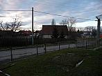 Třibřichy